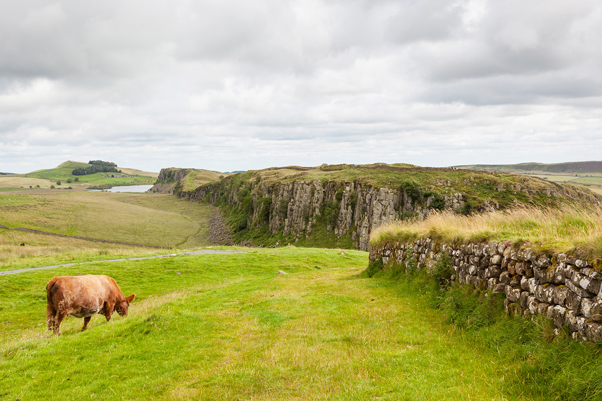 Hadrian's Wall v Anglii