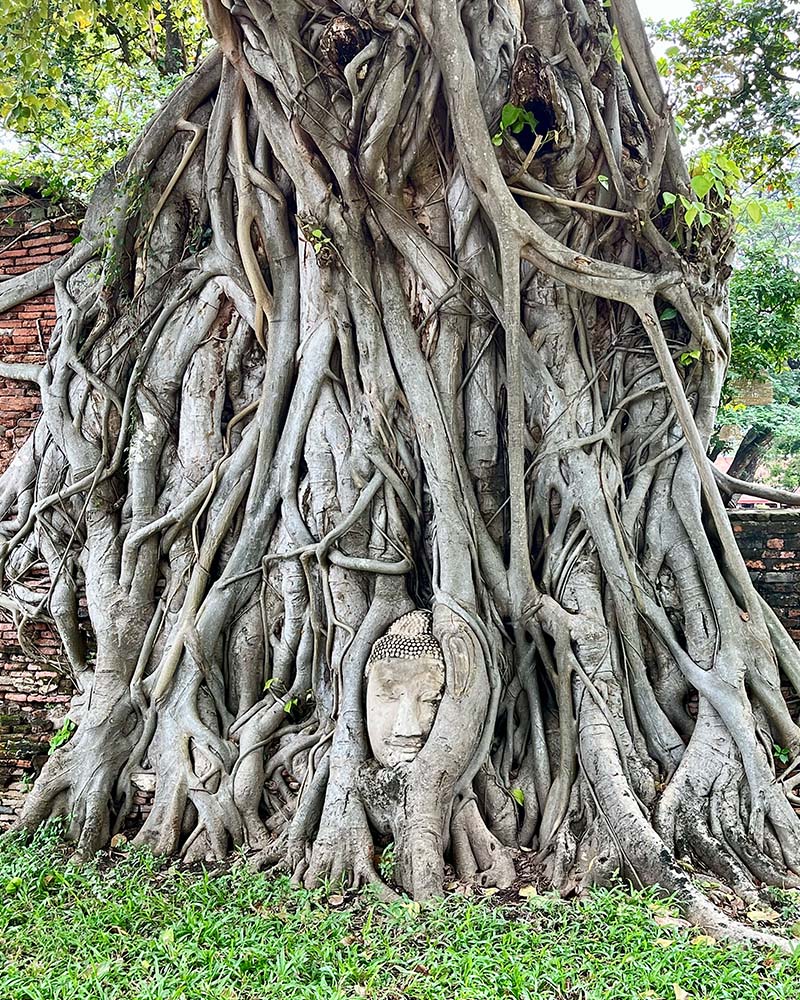 Chrám Wat Mahathat v Ayutthaya