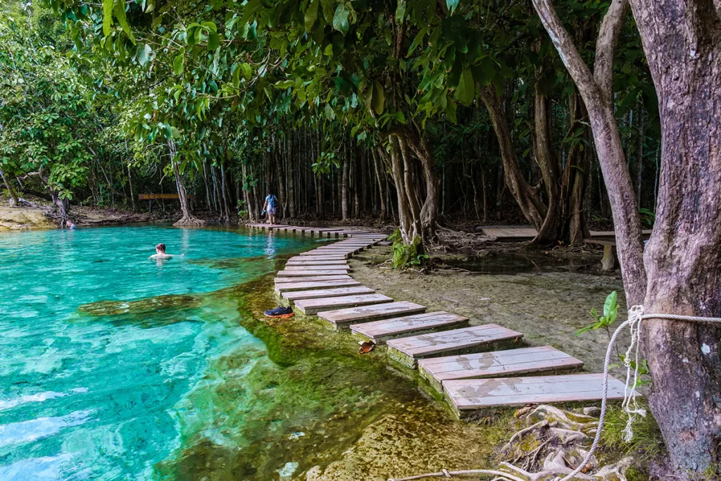 Smaragdové jezírko, Krabi, Thajsko