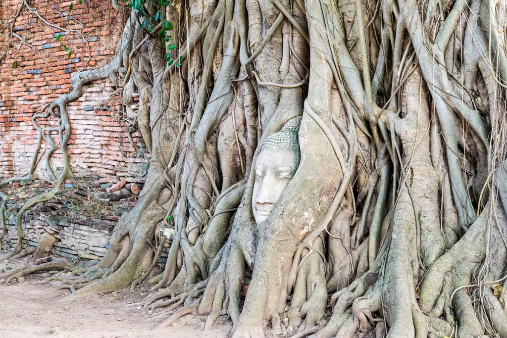 Z Bangkoku do Ayutthaya- Tipy co vidět a dělat
