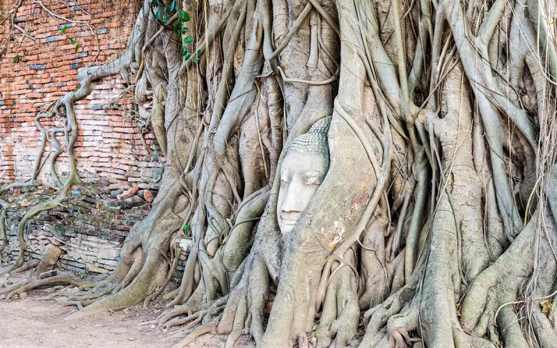 Z Bangkoku do Ayutthaya- Tipy co vidět a dělat