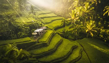 Bali na vlastní pěst - Bali bez cestovky