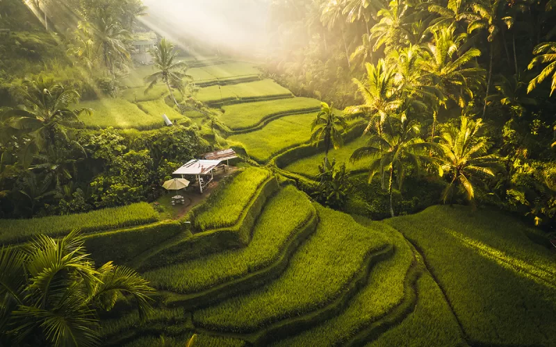 Bali na vlastní pěst - Bali bez cestovky