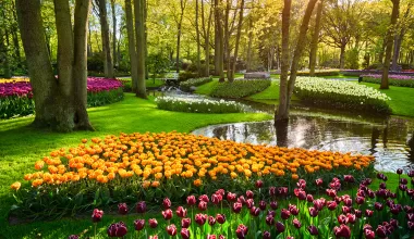 Kam na tulipány v Holandsku - Keukenhof