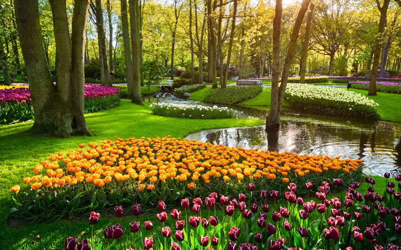 Kam na tulipány v Holandsku - Keukenhof